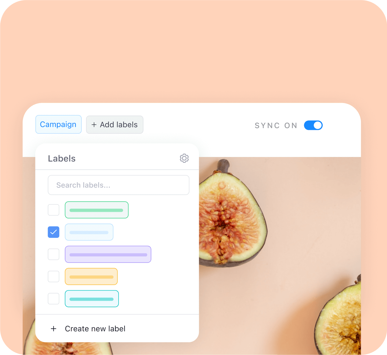 Plan & organize