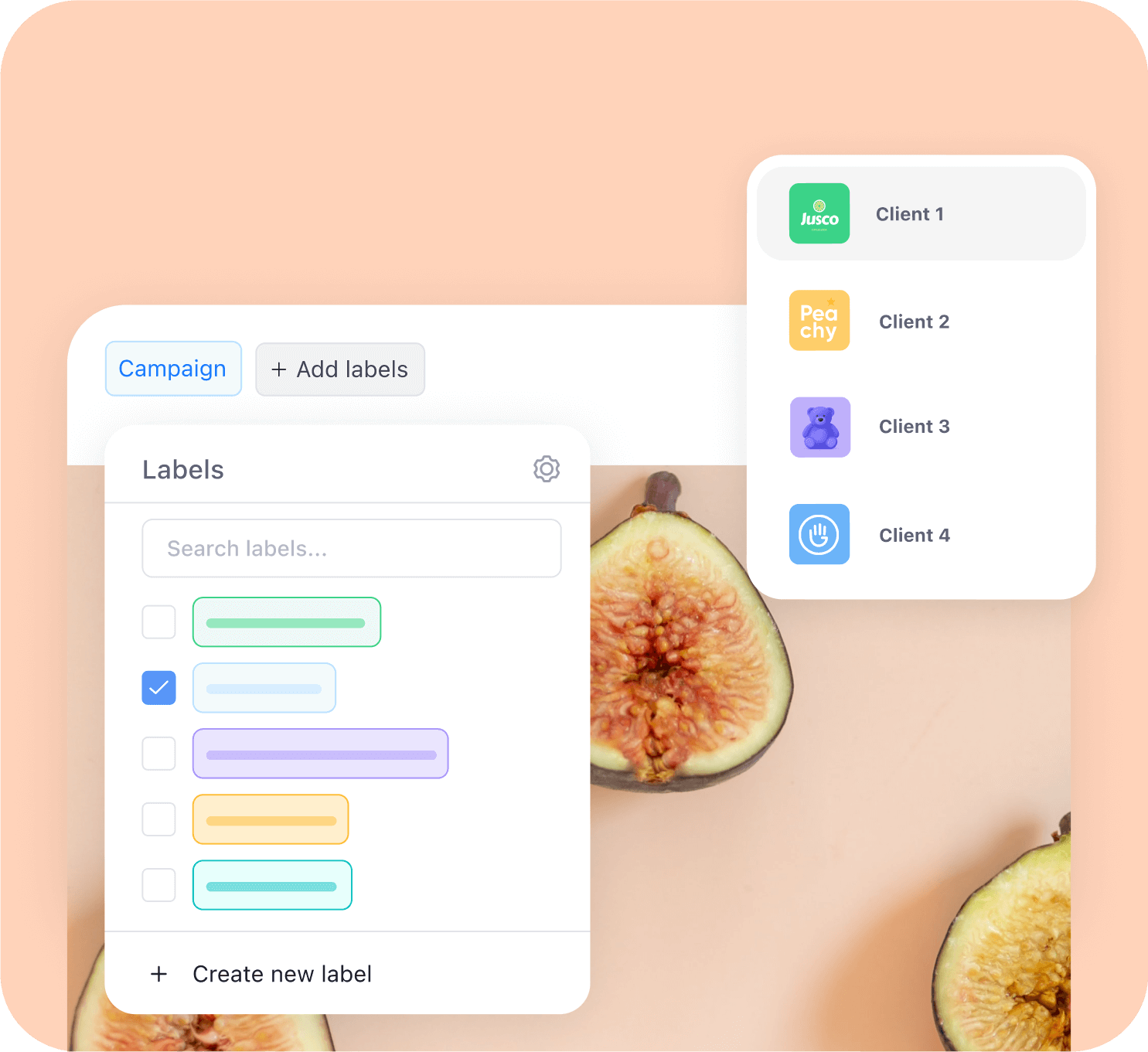 Plan & organize